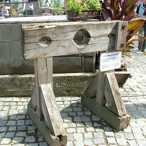 Where's Zoogiraffe When You Need Him? Chleby, 26/08/12