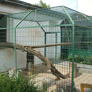 Lemur Enclosure at Chleby, 26/08/12