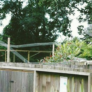 Overhead runs 11th September 2012