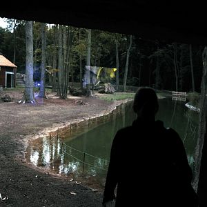 Dark window at Rostock