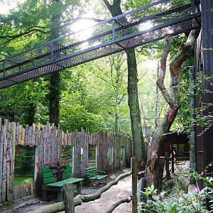 Macaque Exhibit at Decin, 28/08/12