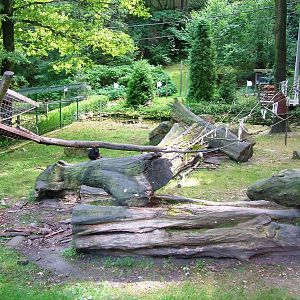 Macaque Exhibit at Decin, 28/08/12