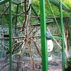 Small Mammal Cages at Decin, 28/08/12