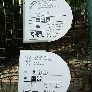 Signage Example at Decin, 28/08/12