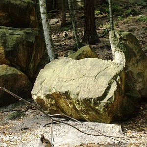 Mixed Exhibit at Decin, 28/08/12