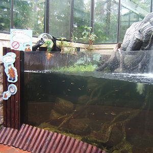 View of new Invasive Species Exhibit in the Aquarium