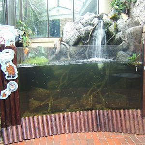 View of new Invasive Species Exhibit in the Aquarium