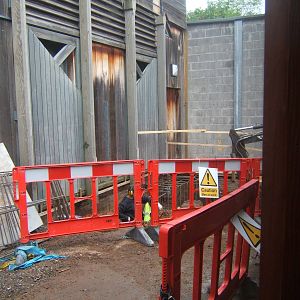 View of construction work on the Gorilla House