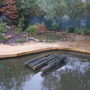 View of re-done North American River Otter exhibit