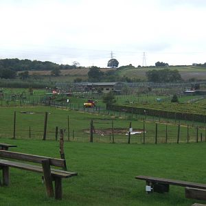 View towards the Big Cat Complex