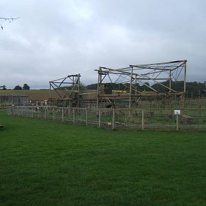 View of new Brown-nosed Coati exhibit