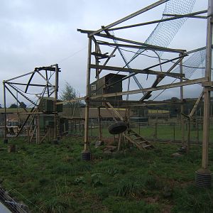 View of new Brown-nosed Coati exhibit