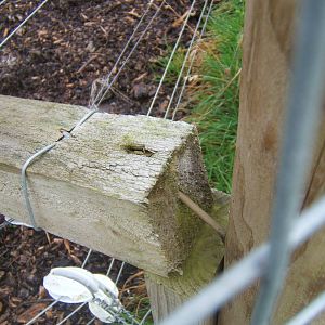 Standard build quality,this picture was taken on the new coati enclosure