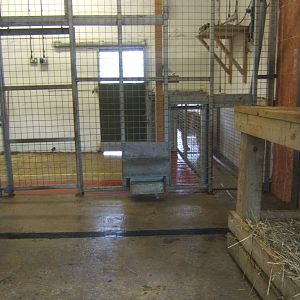View of the inside of the Big Cat House