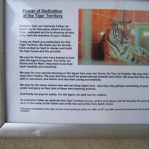 Prayer for the Big cat complex