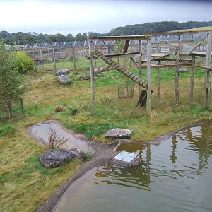View fron the viewing platform for the Big Cats