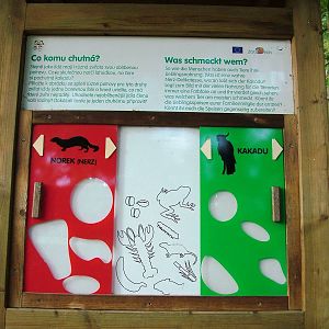 Interpretation at Decin, 28/08/12