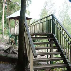 Wild Boar Exhibit at Decin, 28/08/12