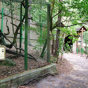 Mustelid Exhibits at Decin, 28/08/12