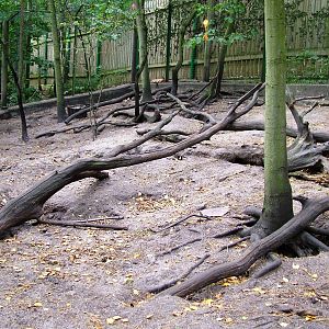 Fox Exhibit at Decin, 28/08/12