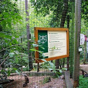 Wildcat Exhibit at Decin, 28/08/12