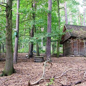 Crane/Musk Deer Exhibit at Decin, 28/08/12