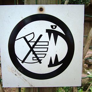 Fantastic 'Don't Touch' Sign at Decin, 28/08/12