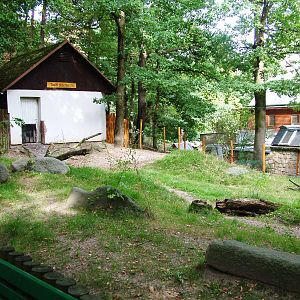 Tapir Exhibit at Decin, 28/08/12