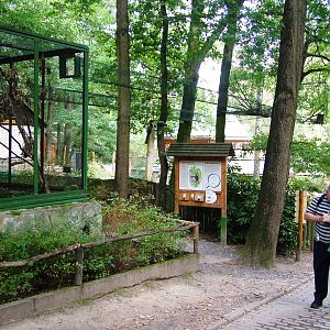 Squirrel Exhibit at Decin, 28/08/12