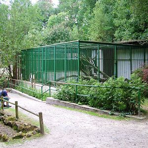 Carnivore Cages at Decin, 28/08/12