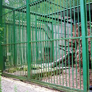 Carnivore Cages at Decin, 28/08/12