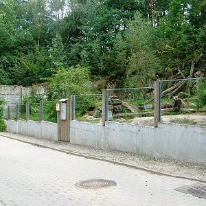 Grizzly Bear Exhibit at Decin, 28/08/12
