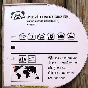 Signage Example at Decin, 28/08/12