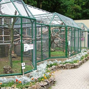 Bird House at Decin, 28/08/12