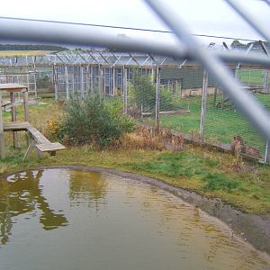 View of Big Cat enclosures