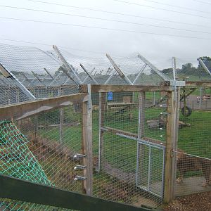 View of Big Cat enclosures