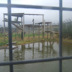 View of Big Cat enclosures