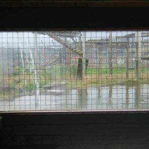 View of Big Cat enclosures