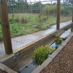 Water feature alongside the Big cat enclosures