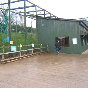 View of Siamang and Ring-tailed Lemur House