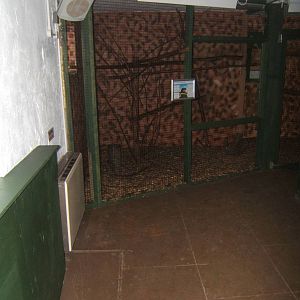 View inside the Primate House