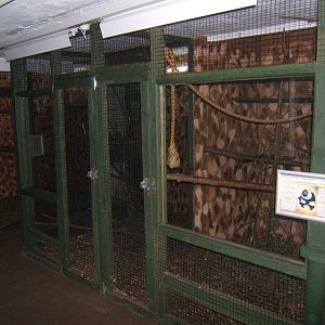 View inside the Primate House