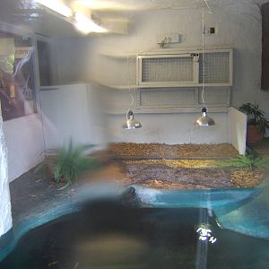 View of the safety cage for Crocodiles
