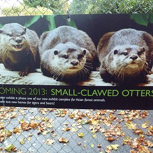 New Construction Signs