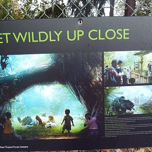 New Construction Signs