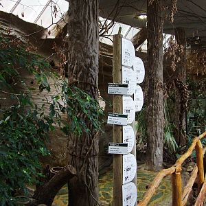 Bird House Interior at Decin, 28/08/12