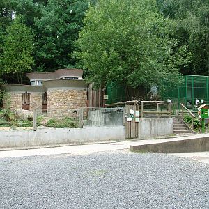 Bear/Leopard Exhibits at Decin, 28/08/12