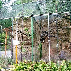 Monkey Enclosures at Decin, 28/08/12