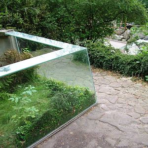 Reptiliaries at Decin, 28/08/12