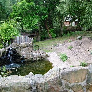 Giant Anteater/Capybara Paddock at Decin, 28/08/12